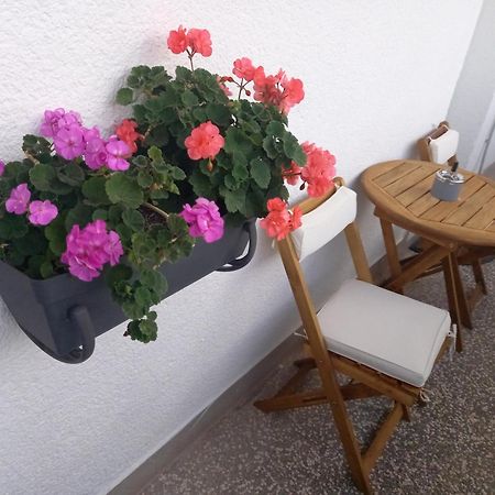 Apartment Danijela Šibenik Eksteriør billede